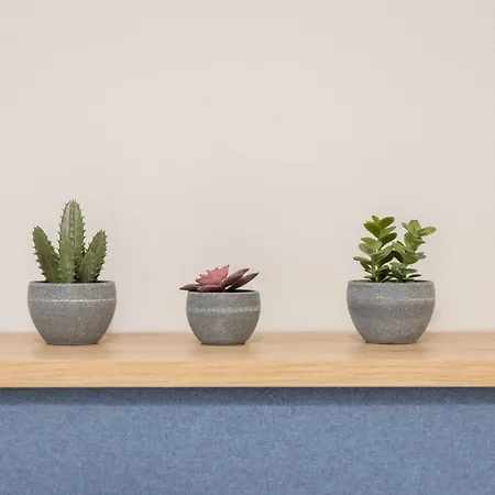 Apartamento The Bee *